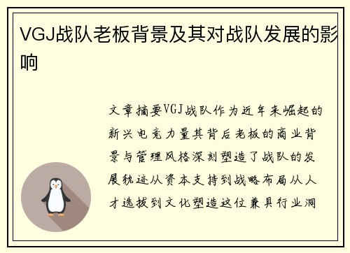 VGJ战队老板背景及其对战队发展的影响